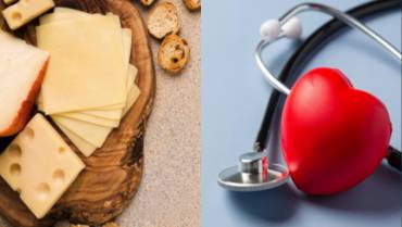 Queso y Colesterol: Efectos del queso en el colesterol