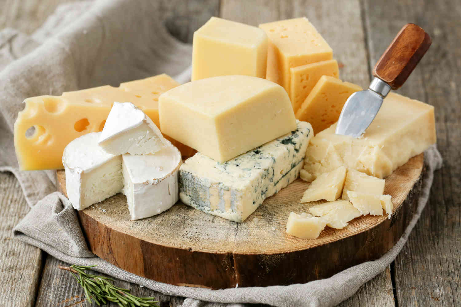 catas de queso variedad-de-quesos-nacionales-internacionales