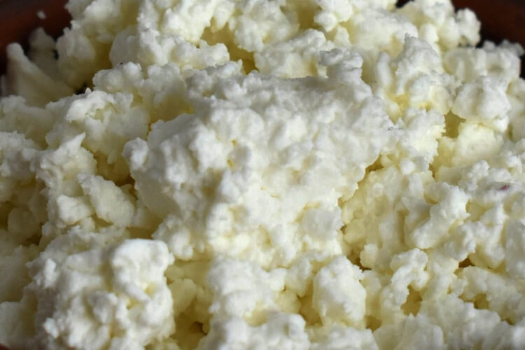 queso-cottage-el-mejor-queso-de-menor-caloria-y-grasa