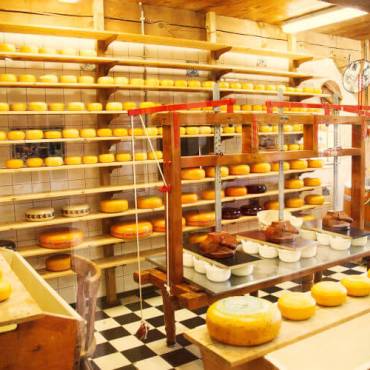 ¿Qué son los museos del queso?
