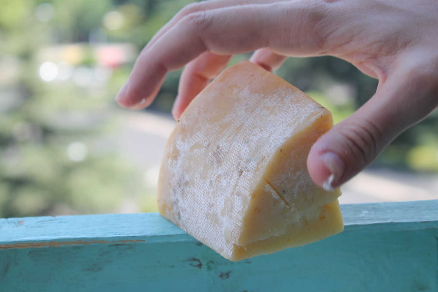 ¿Puedo comer queso cheddar estando embarazada? Villasierra
